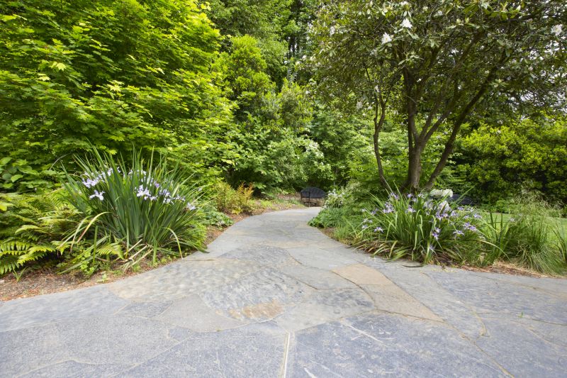 Stylish Paver Walkway